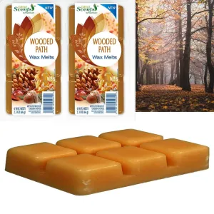 2 Pack Wooded Path Scented Cube Wax Melts Candle Warmers Fragrance Aroma 2.3oz
