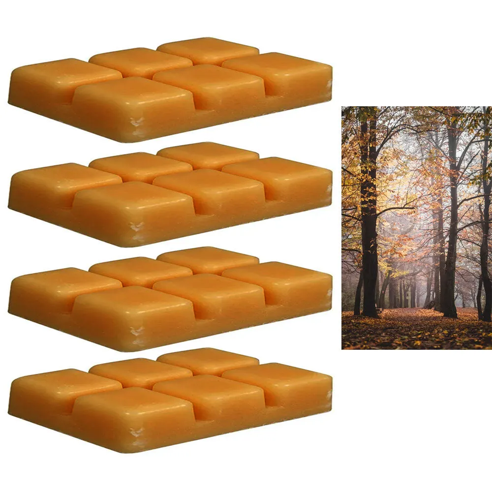 4 Packs Cube Wax Melts Tarts Wooded Path Scented Candle Warmers Fragrance 2.3oz