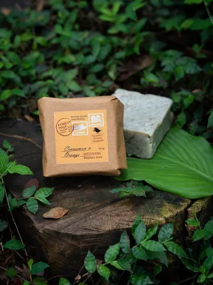 Cinnamon and orange exfoliating beeswax soap