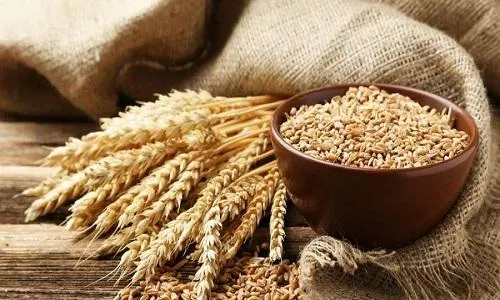 Hydrolysed Wheat Protein Liquid Water Soluble 20%