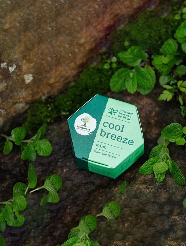 Mint Lip Balm