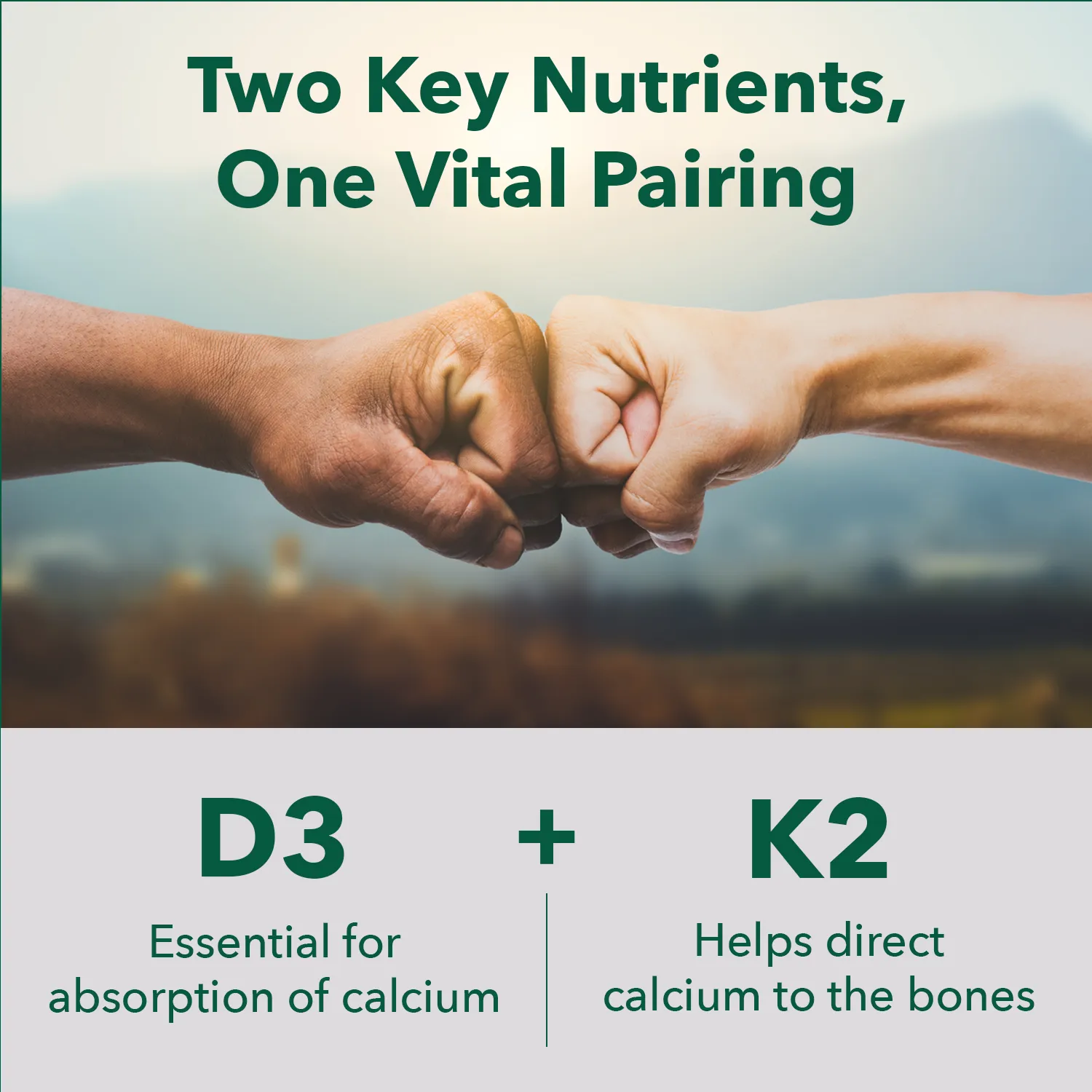 Organic Vegan Vitamin D3   K2 - Save 20%
