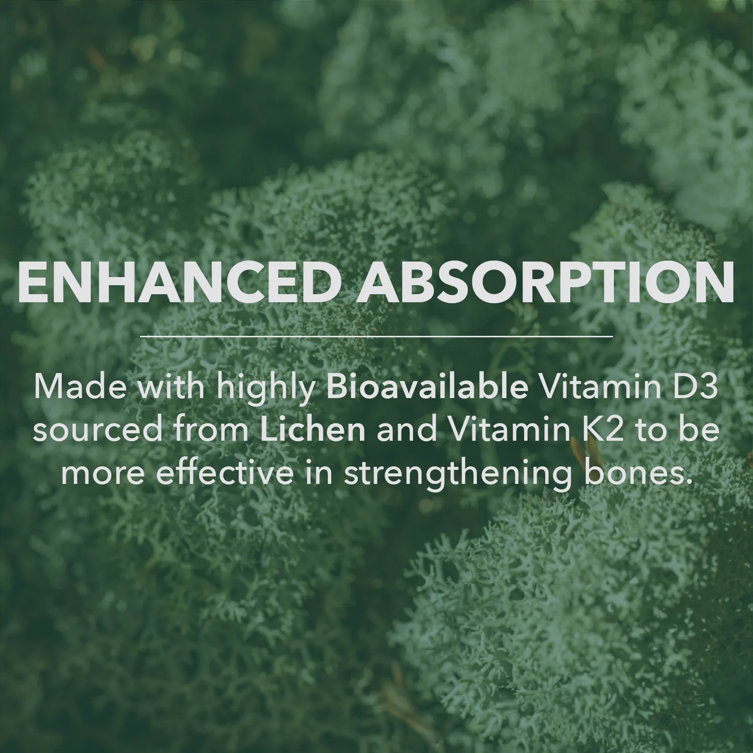 Organic Vegan Vitamin D3   K2